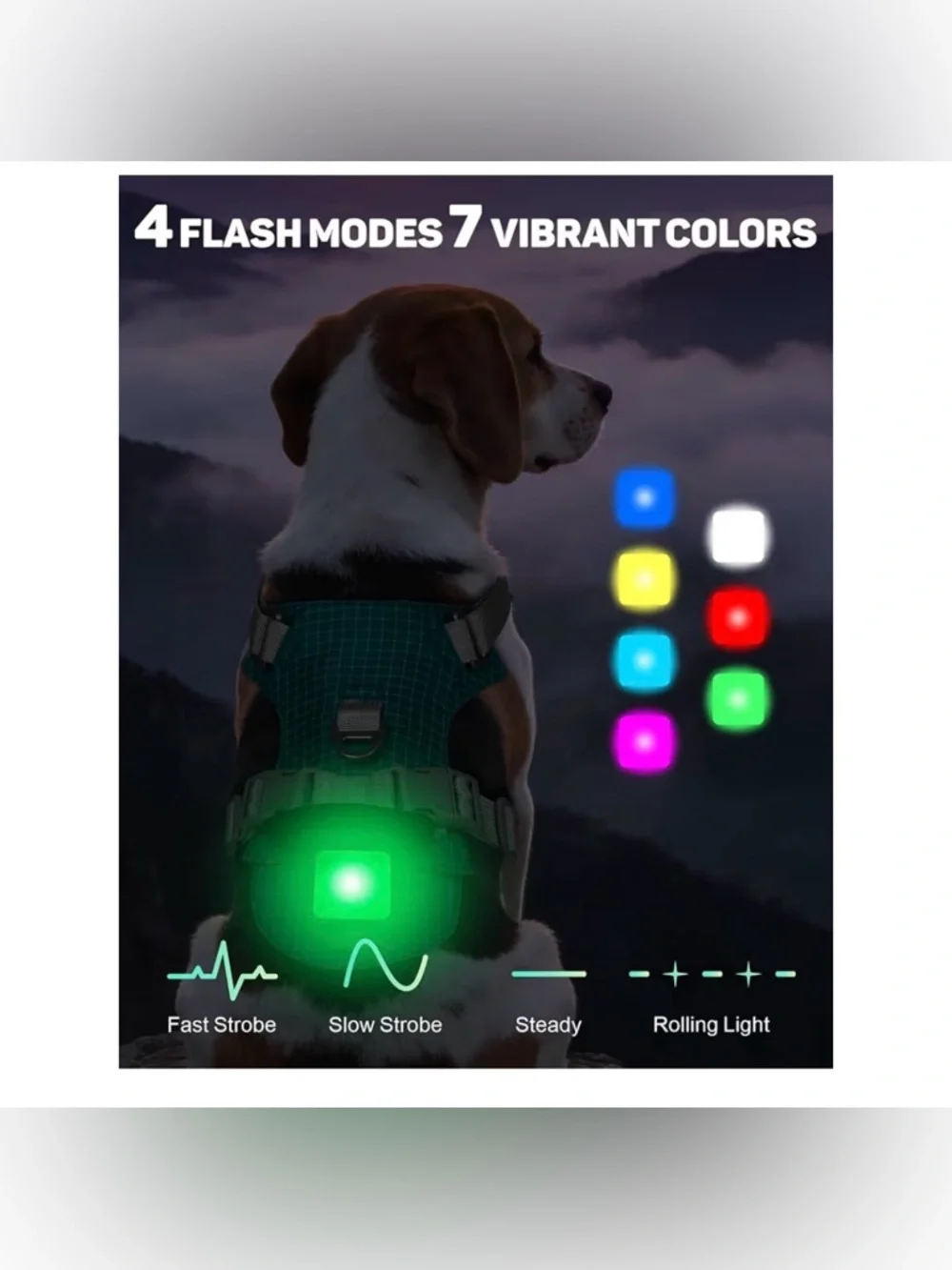 TagME Light Up Dog Harness
